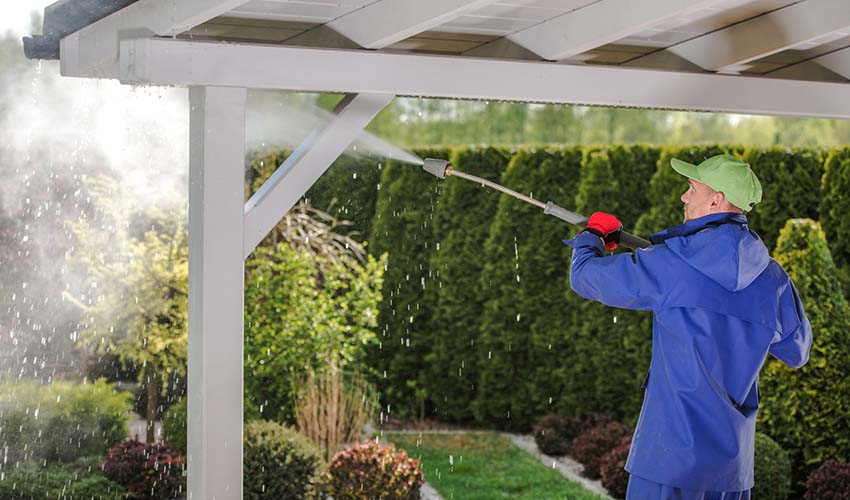 Shelter and Porch Washing